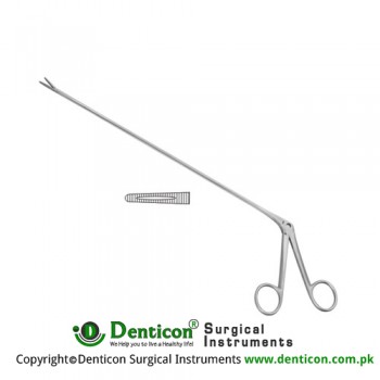 Mathieu Foreign Body Forcep Stainless Steel, 20 cm - 8"